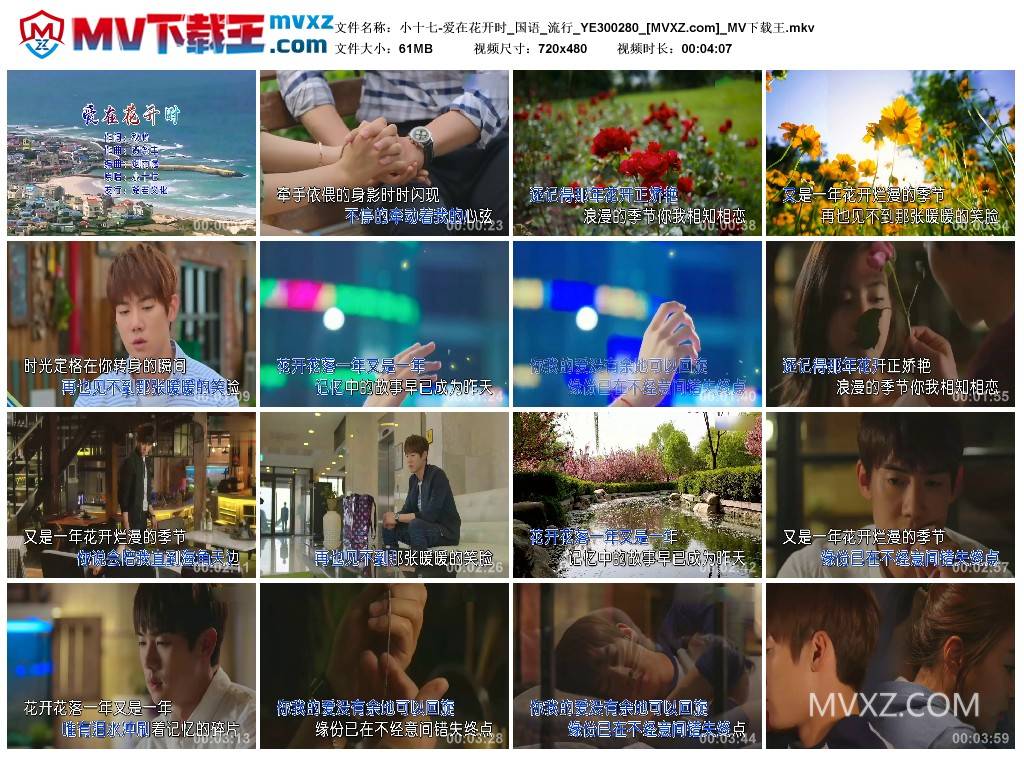 小十七-爱在花开时_国语_流行_YE300280